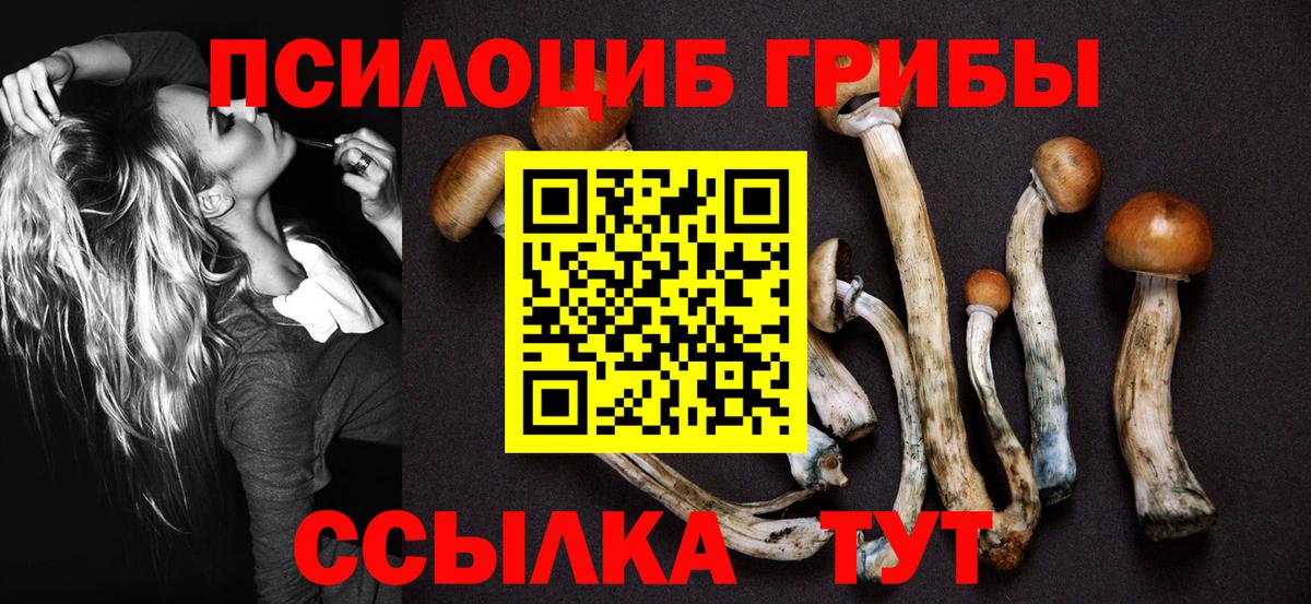 Галлюциногенные грибы GOLDEN TEACHER  Псилоцибиновые грибы Psilocybe  Вход с VPN  даркнет сайт  Ликино-Дулёво 